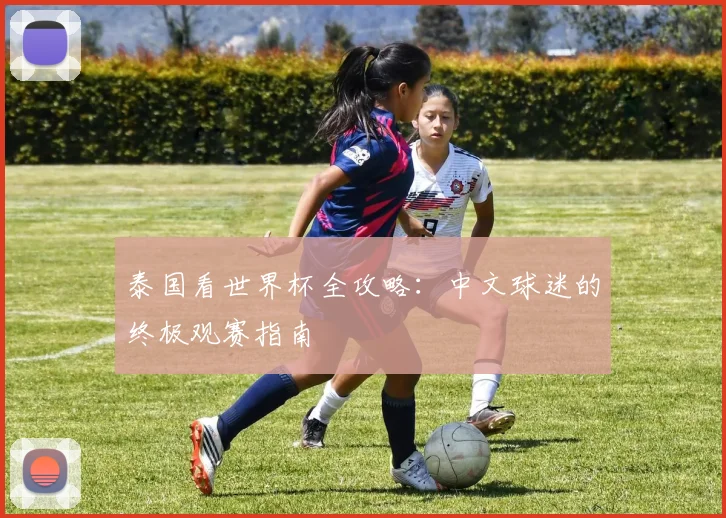 泰国看世界杯全攻略:中文球迷的终极观赛指南