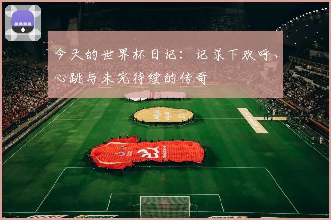 今天的世界杯日记：记录下欢呼、心跳与未完待续的传奇