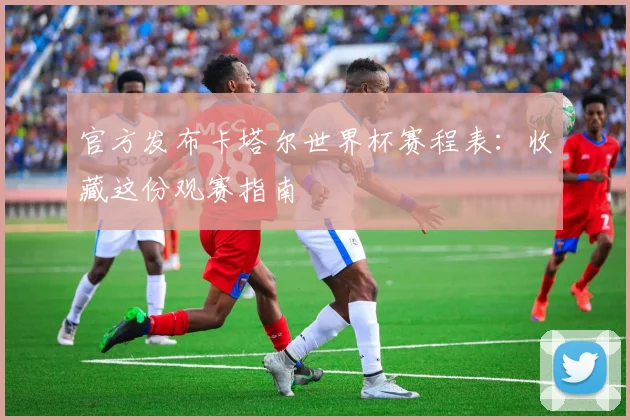 官方发布卡塔尔世界杯赛程表：收藏这份观赛指南
