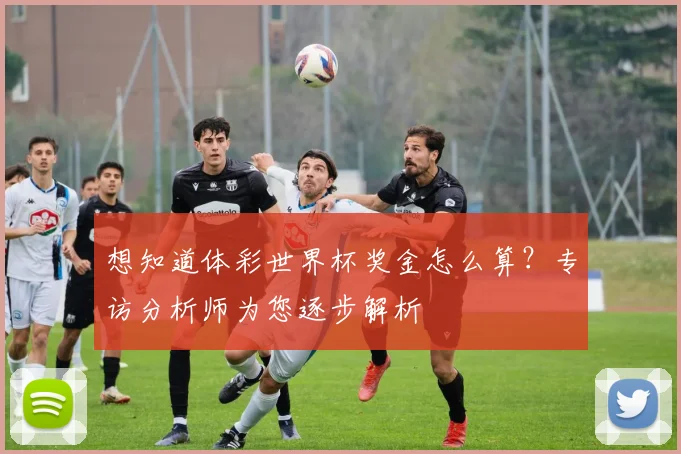 想知道体彩世界杯奖金怎么算？专访分析师为您逐步解析