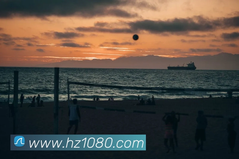 App Interface Preview